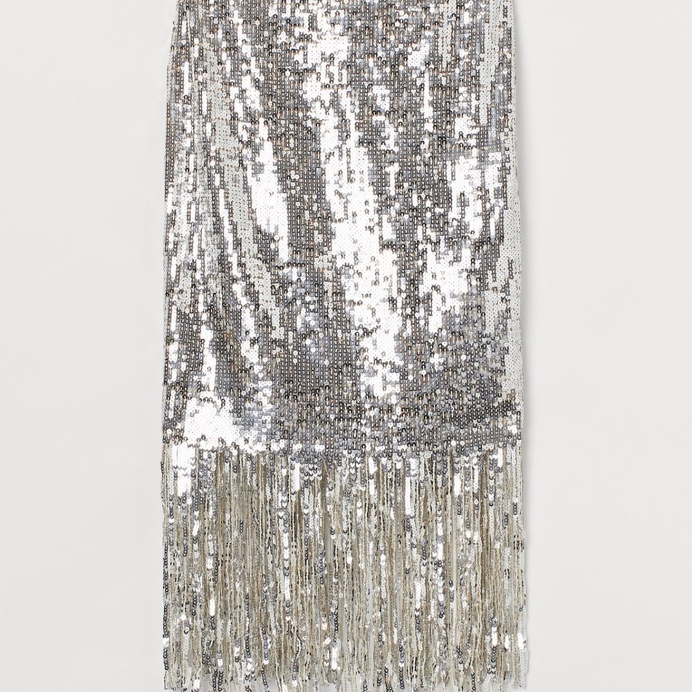 H&M Sequin Fringe Skirt